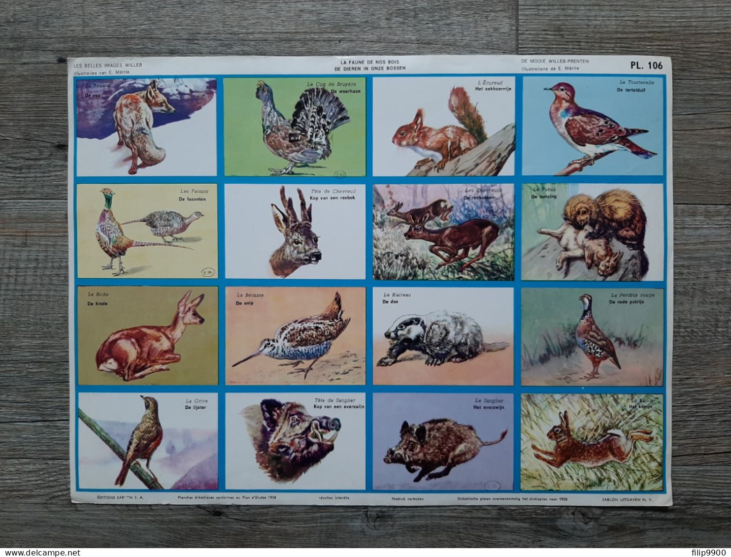 PL. 106 : La Faune De Nos Bois - De Dieren In Onze Bossen (E. Mérite) - Editions Sablon 1958 - 35x26cm - Learning Cards