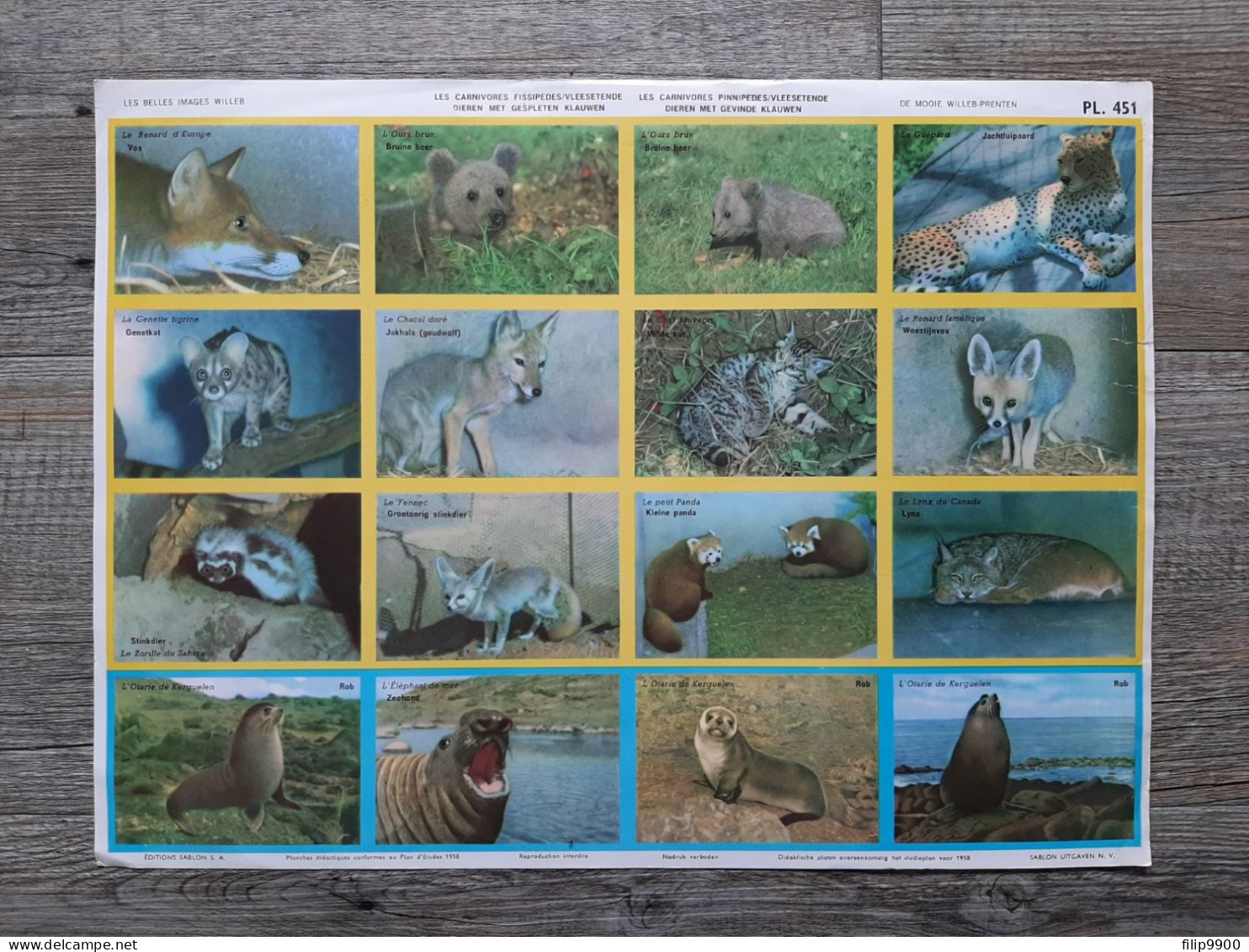 PL. 451 : Carnivores - Vleesetende Dieren - Editions Sablon 1958 - 35x26cm - Didactische Kaarten