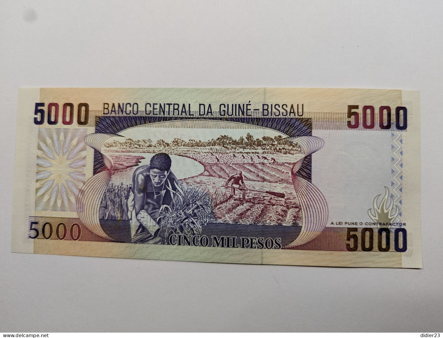 BILLET DE BANQUE GUINEE - Guinea-Bissau