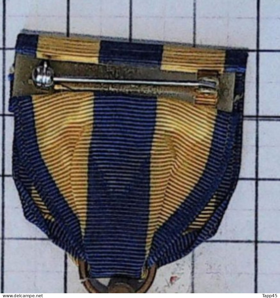 Médailles & Décorations >  Navy Expeditionary Medal   > Réf:Cl USA P 6/ 3