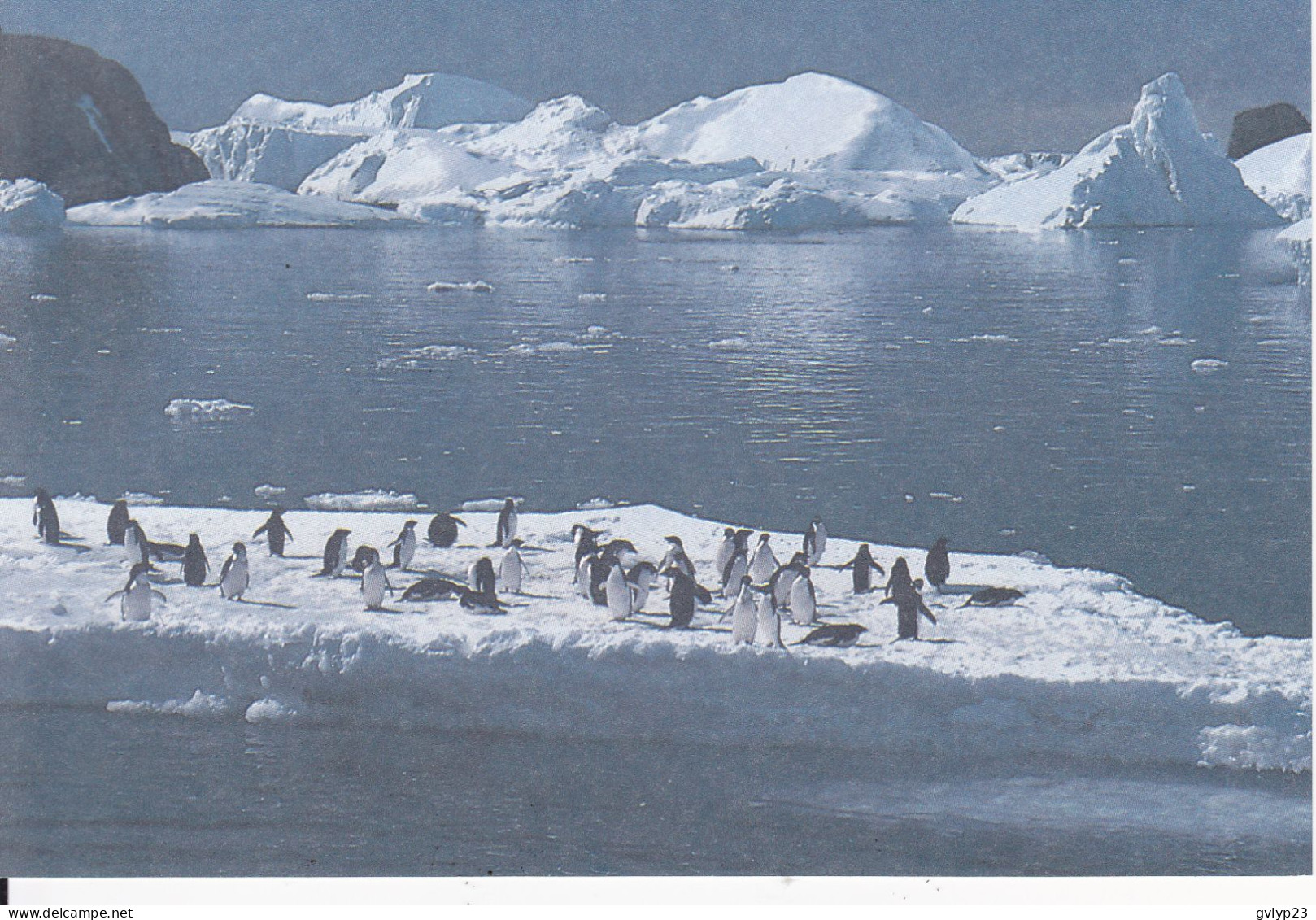 CARTE POSTALE + ENTIER POSTAL AMIRAL MAX DOUGUET ( TP N° 157 ) 1991 - Entiers Postaux