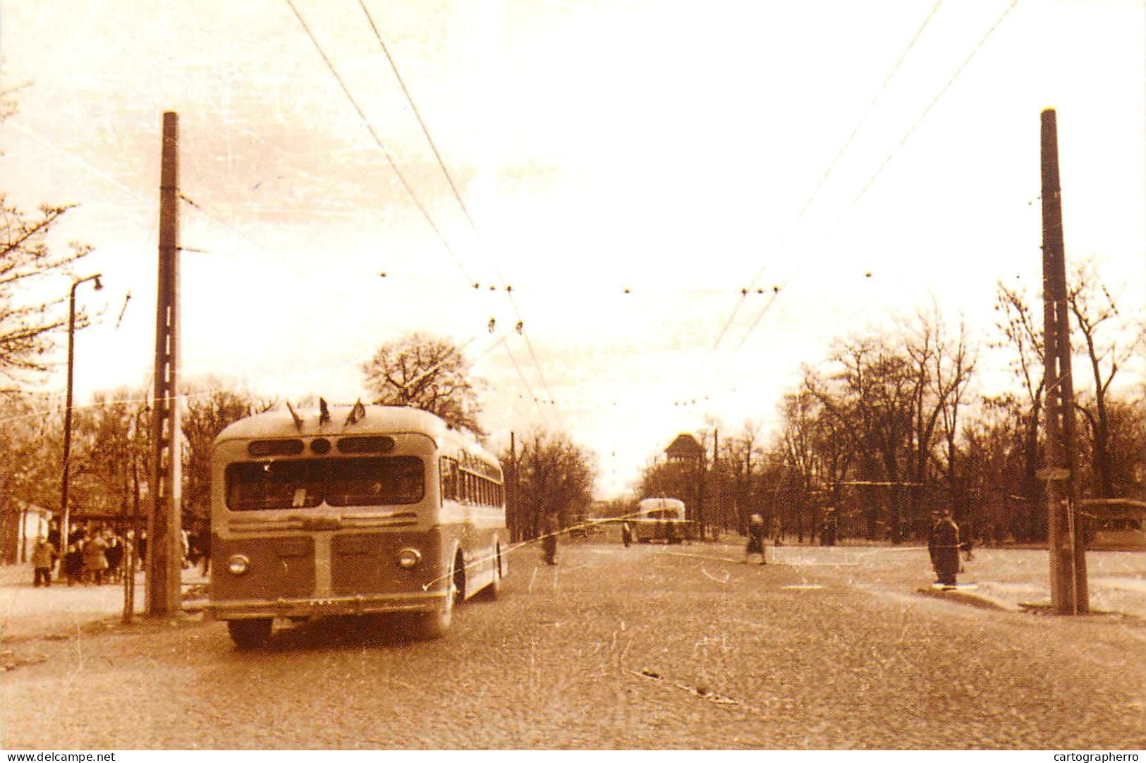 Romania Bucuresti Surface Public Transport Bus - Bus & Autocars