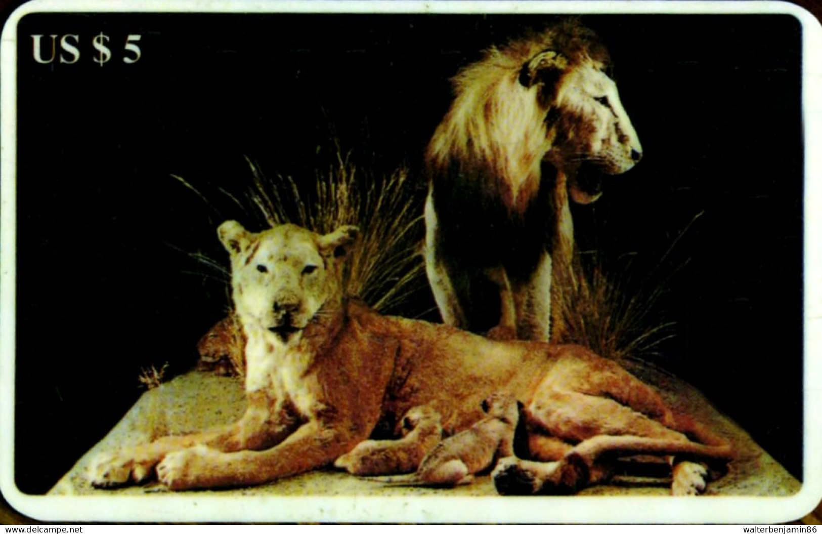 SCHEDA TELEFONICA PHONECARD DISNEY U.S.A. B.E.L. INTERNATIONAL ANIMALS LIONS - Colecciones