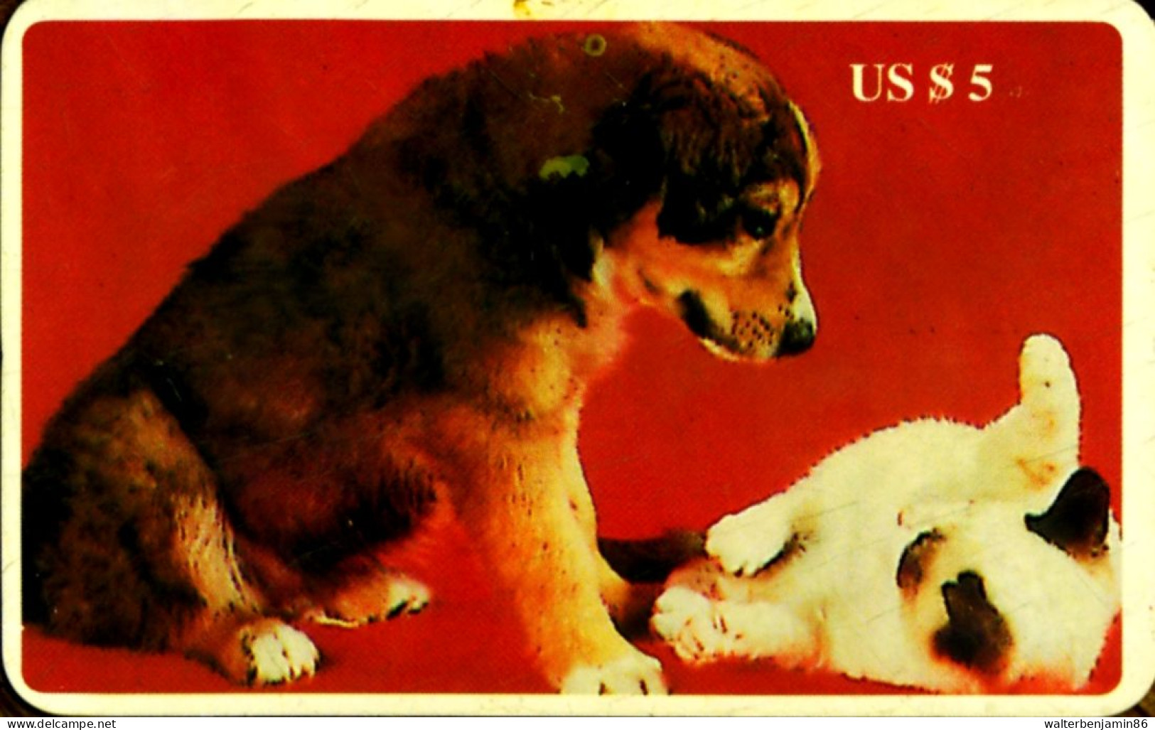 SCHEDA TELEFONICA PHONECARD DISNEY U.S.A. B.E.L. INTERNATIONAL ANIMALS DOG AND CAT PET - Colecciones