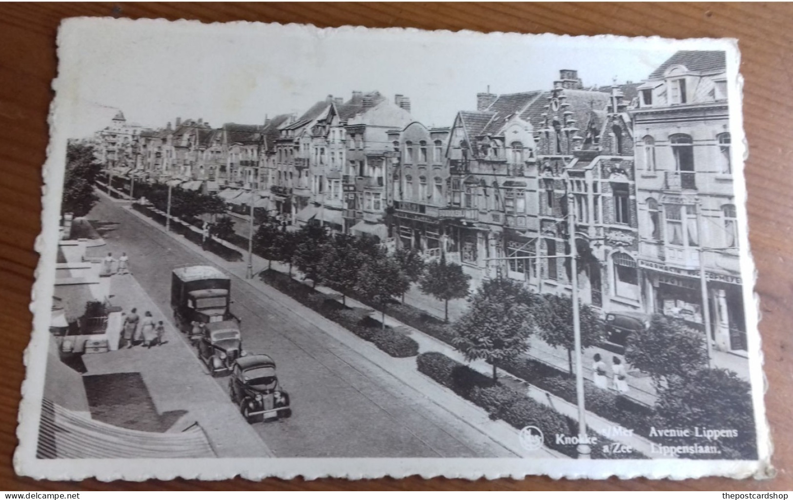 Belgique KNOCKE Sur MER  Avenue Lippens Lippenslaan Chemist CarS Truck Used 1952 - Knokke