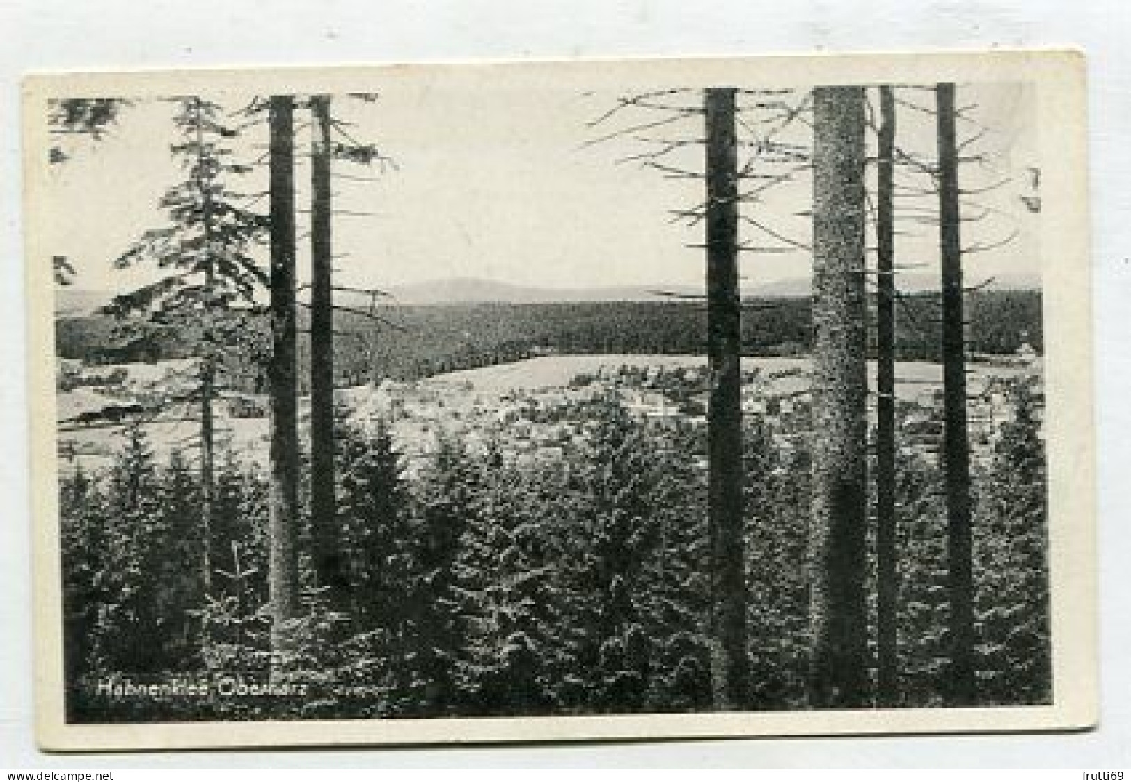 AK151195 GERMANY - Hahnenklee / Oberharz - Oberharz