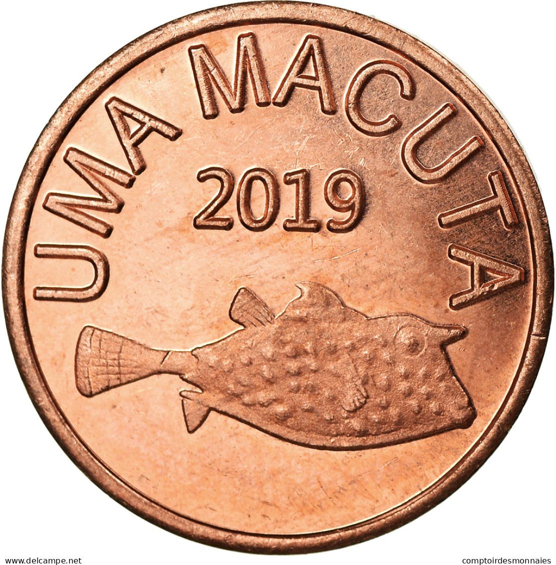 Monnaie, CABINDA, Macuta, 2019, SPL, Cuivre - Angola