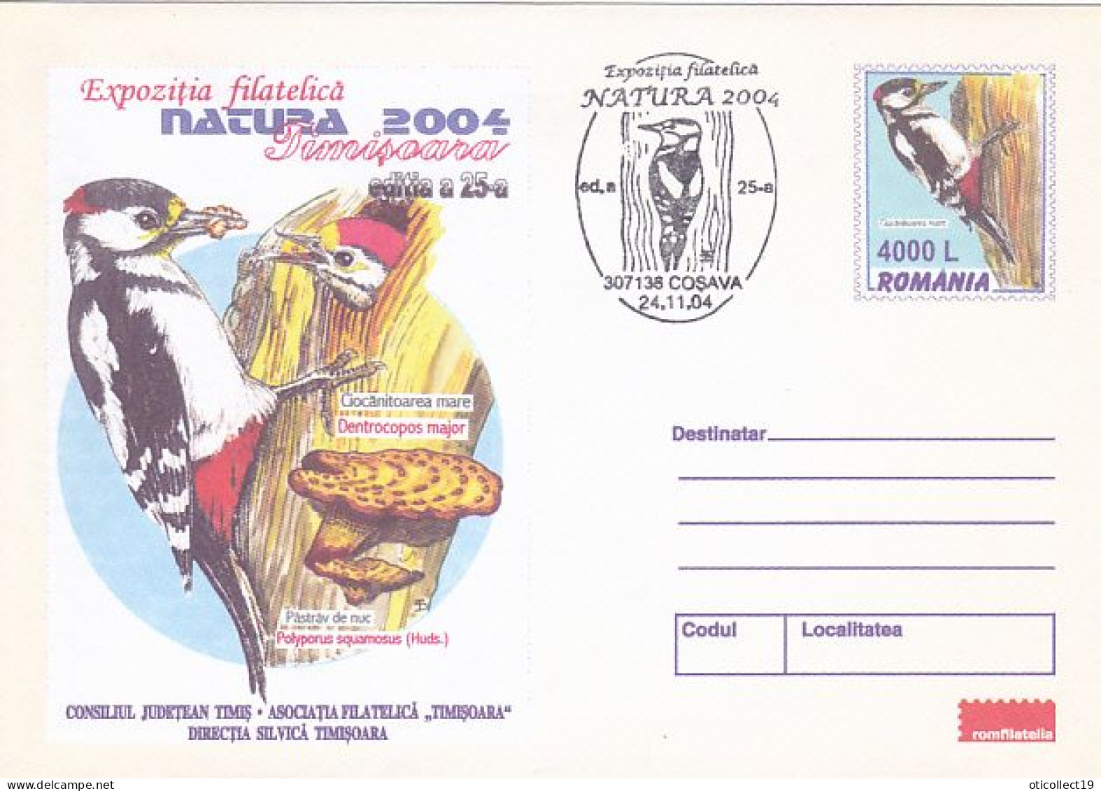 ANIMALS, BIRDS, GREAT SPOTTED WOODPECKER, MUSHROOM, COVER STATIONERY, 2004, ROMANIA - Piciformes (pájaros Carpinteros)