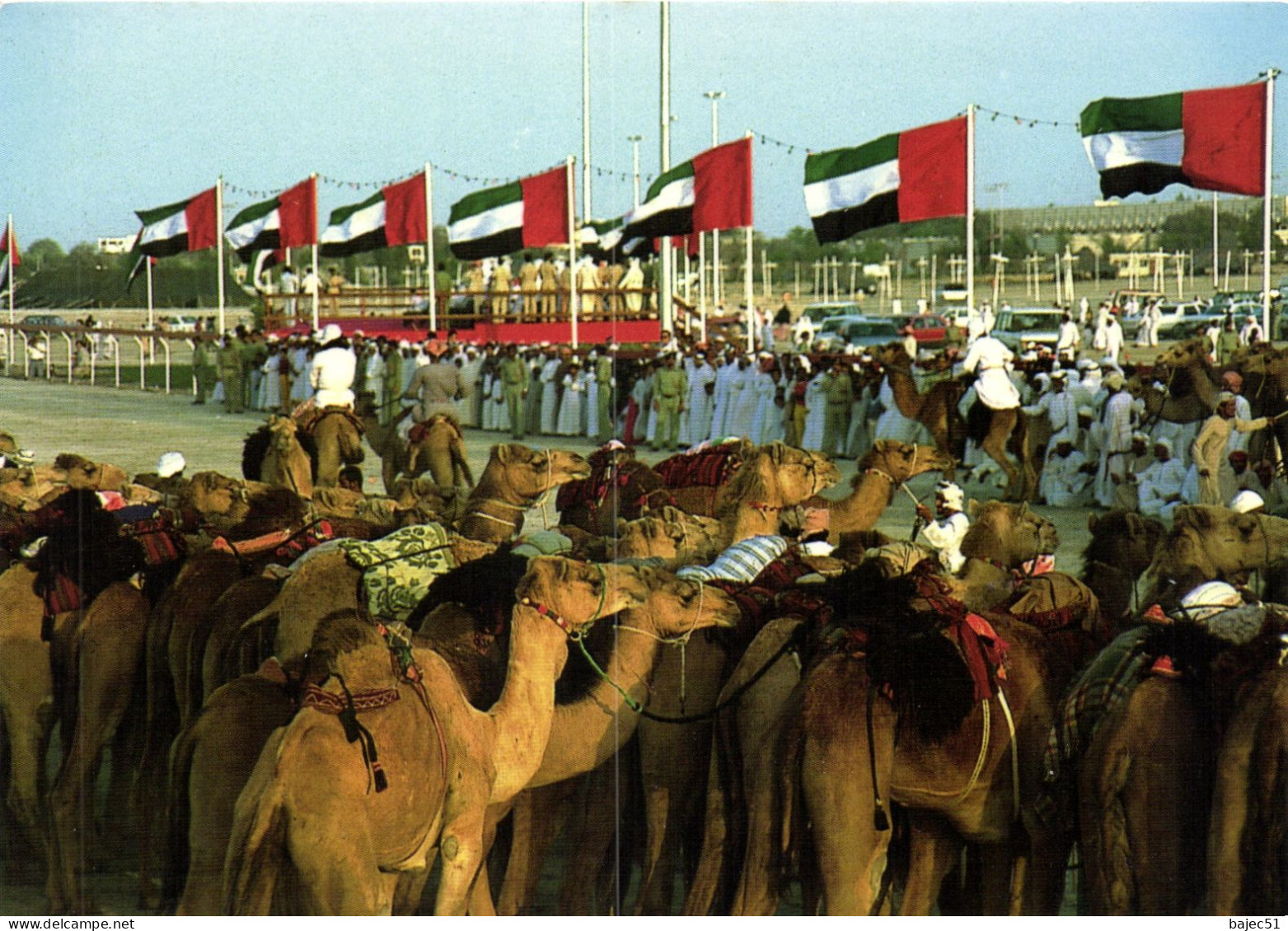 National Folklore - Course De Chameaux "animés" - United Arab Emirates