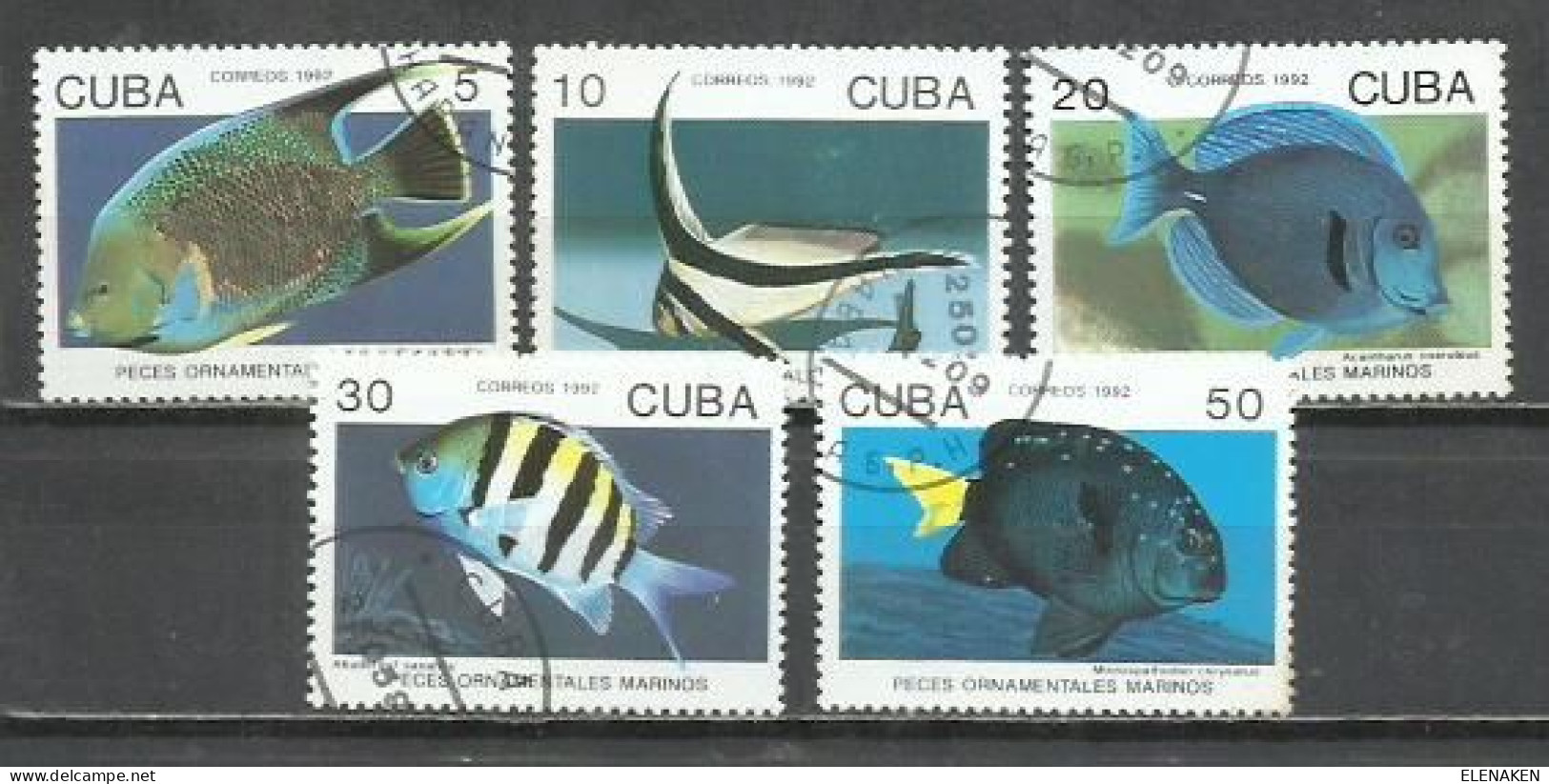 6200D-SERIE COMPLETA PECES FAUNA MARINA CUBA 1994 Nº 3370/3375 TEMATICOS BONITOS CONMEMORATIVOS - Usados