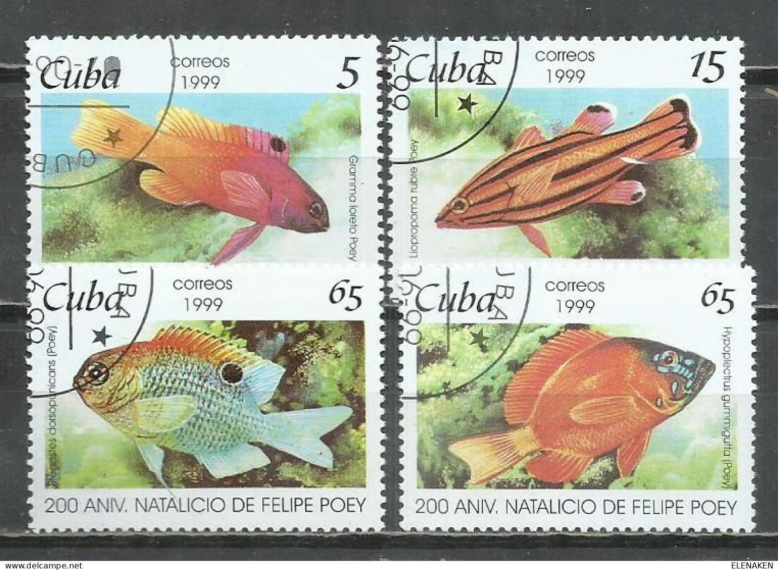 6200E-SERIE COMPLETA PECES FAUNA MARINA CUBA 1999 Nº 3801/3804 TEMATICOS BONITOS CONMEMORATIVOS - Used Stamps