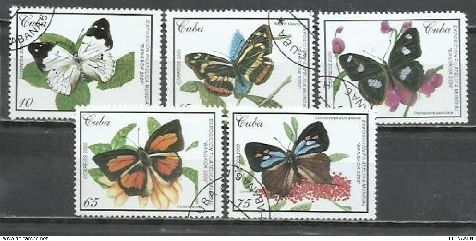 6200A-SERIE COMPLETA MARIPOSAS INSECTOS CUBA 2000 Nº 3852/3856 TEMÁTICOS BONITOS CONMEMORATIVOS - Gebraucht