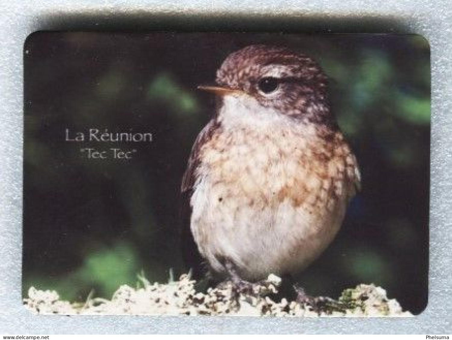 La Réunion - Beau Magnet  7 X 10 Cm - L E TEC TEC - Animals & Fauna