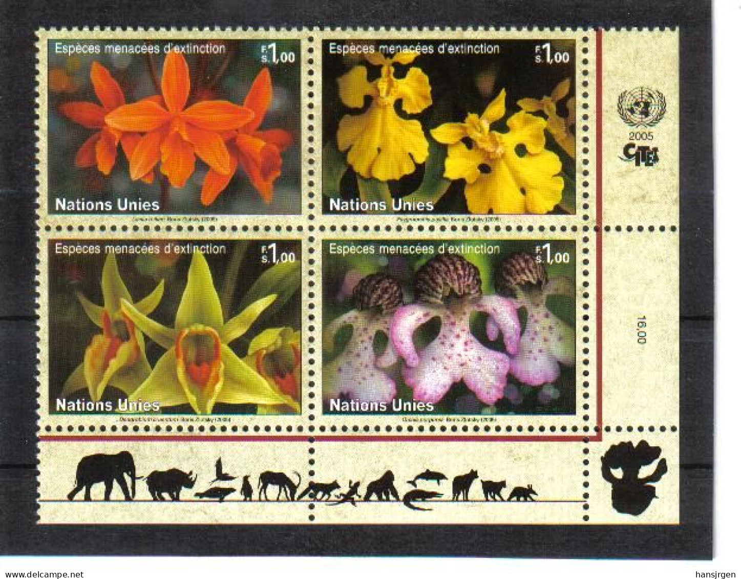 VNG223 VEREINTE NATIONEN UNO GENF 2005 MICHL 510/13 **  Postfrisch SIEHE ABBILDUNG - Unused Stamps