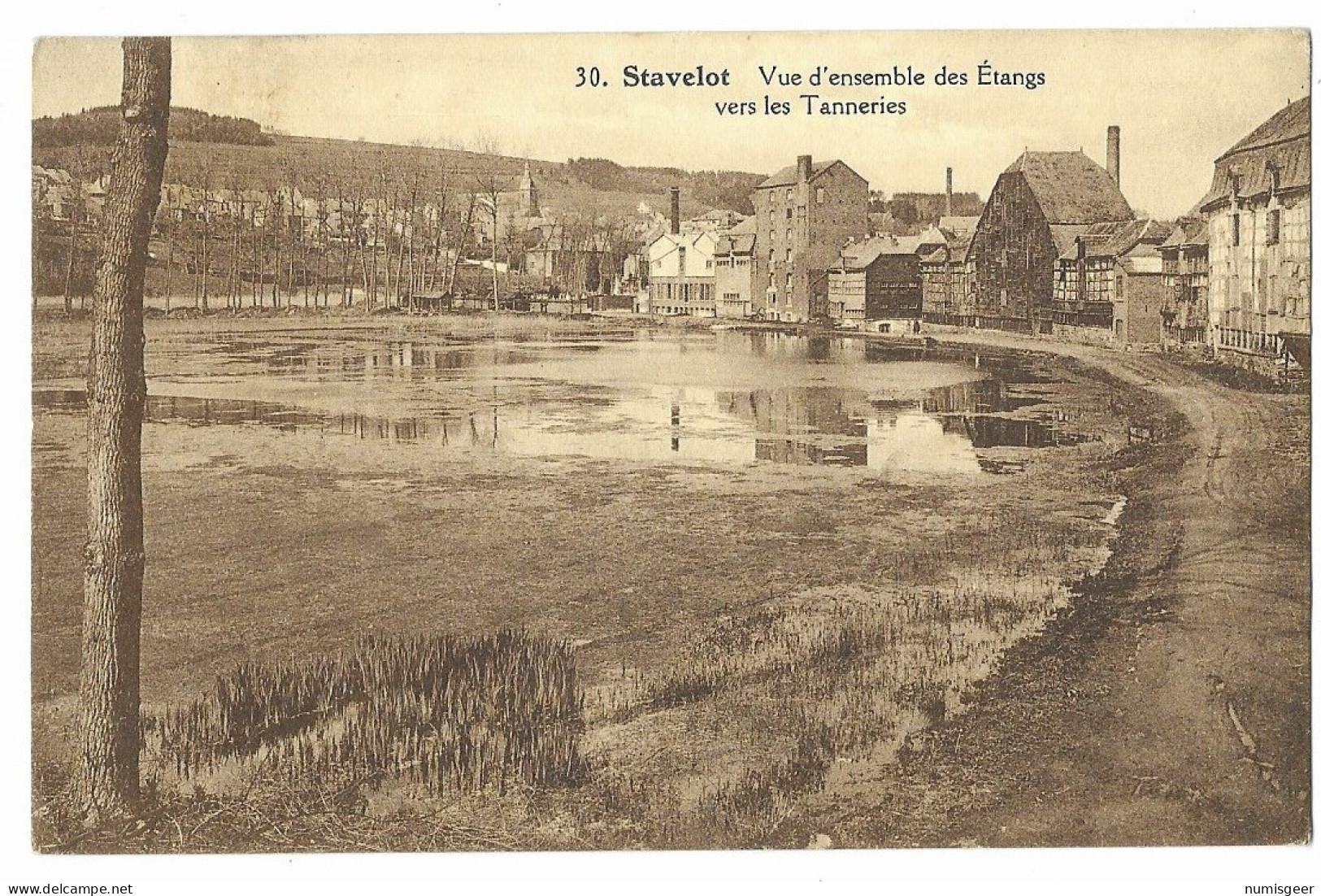 SATAVELOT  --  Vue D'ensemble Des Etangs Vers Les Tanneries - Stavelot