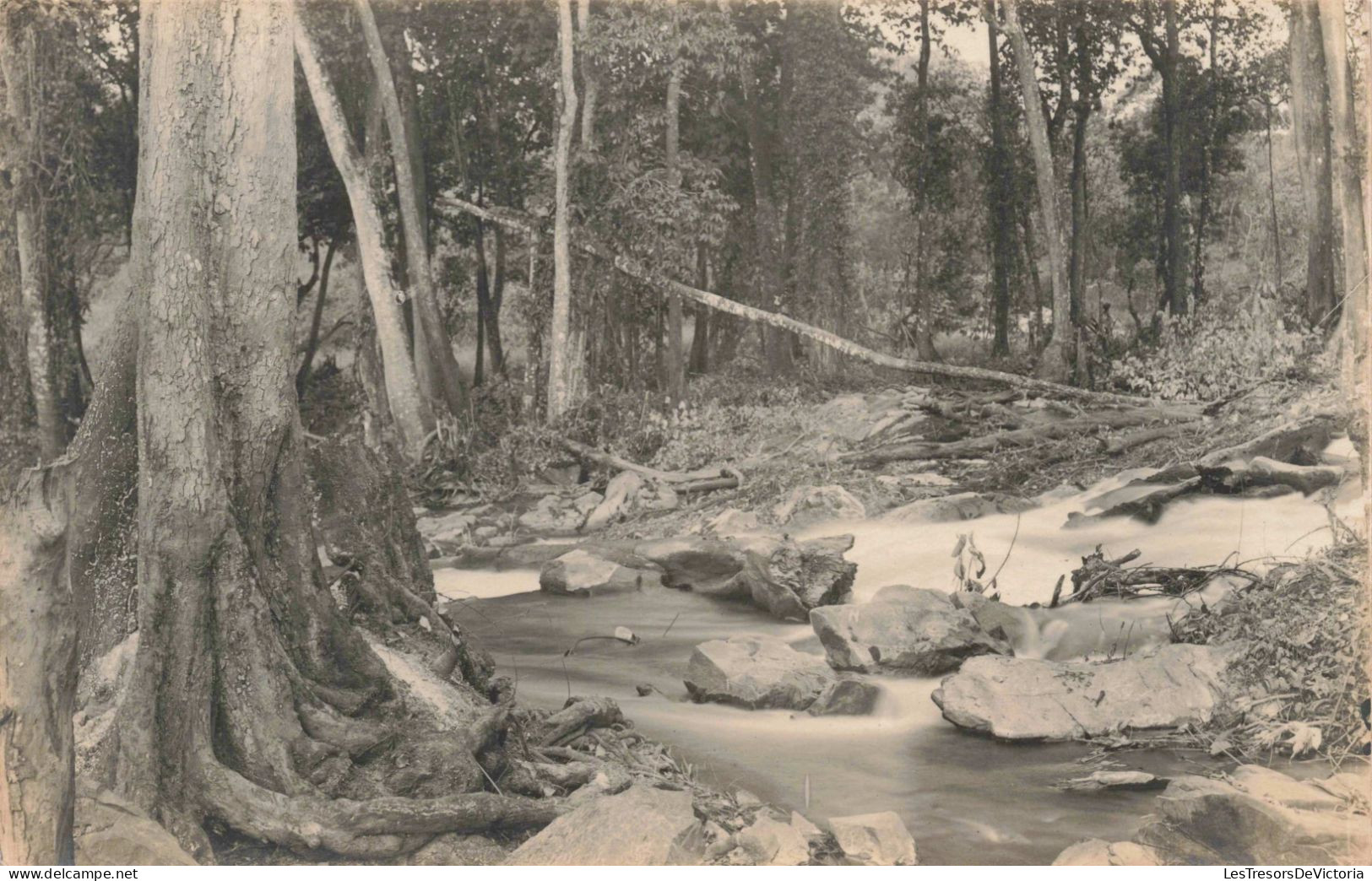 CONGO - Kinshasa - Chutes De Koni (Lufira) - Décembre 1926 - Carte Postale Ancienne - Kinshasa - Leopoldville