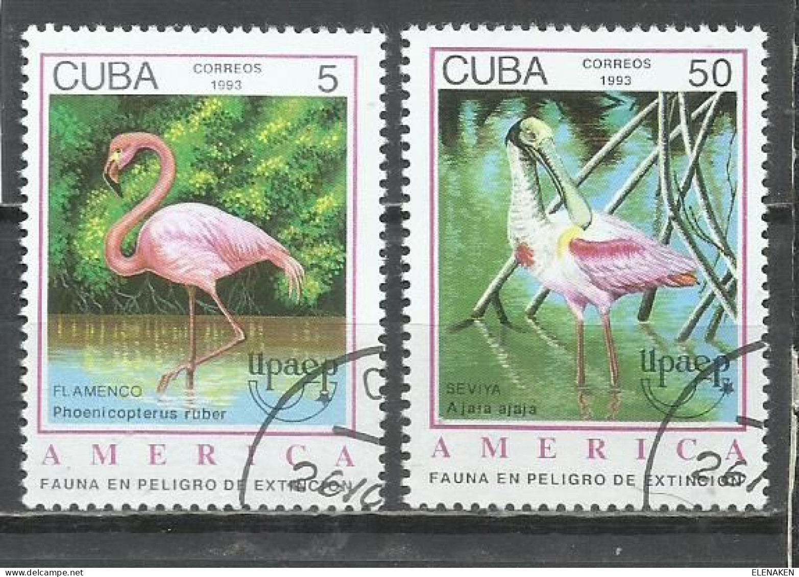 6200J- SELLOS DE CUBA SERIE COMPLETA AVES PÁJAROS 1993 Nº 3323/3324 FAUNA, ANIMALES. - Collections, Lots & Series