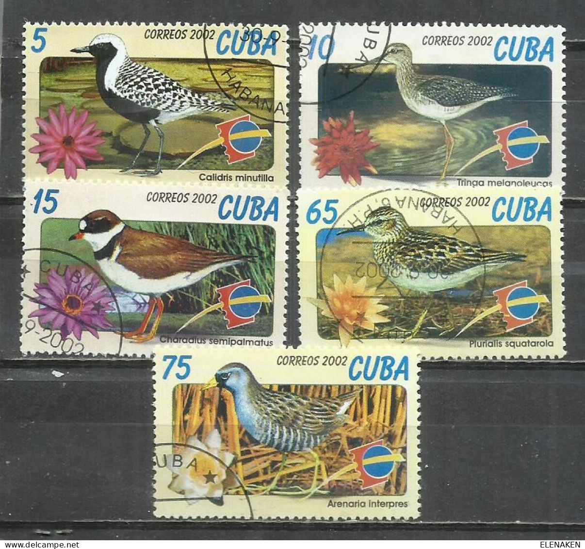 6200K- SELLOS DE CUBA SERIE COMPLETA AVES PÁJAROS 2002 Nº 4020/4024 FAUNA, ANIMALES. - Collezioni & Lotti