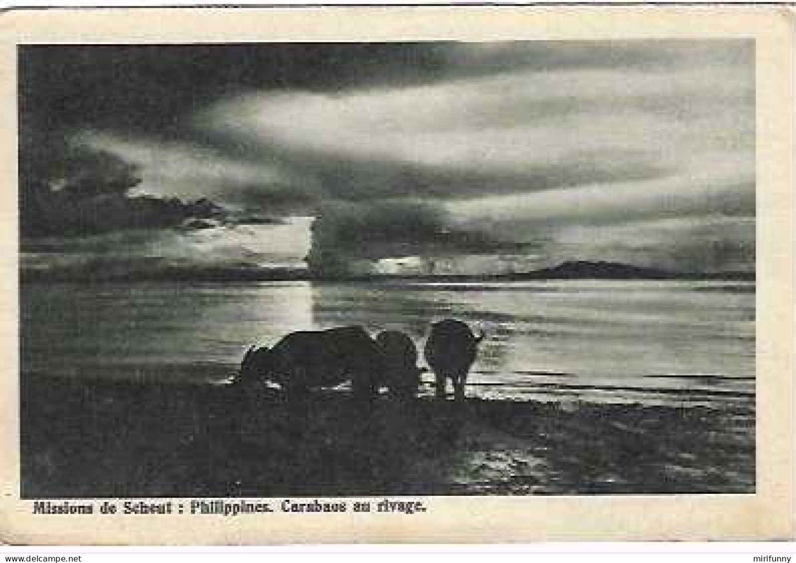 MISSIONS DE SCHEUT/PHILIPPINES /CARABAOS AU RIVAGE - Philippines