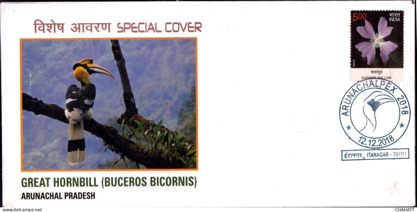 BIRDS-GREAT HORNBILL-SPECIAL COVER- INDIA- BX4-22 - Piciformes (pájaros Carpinteros)