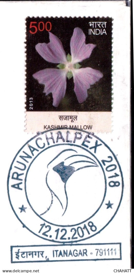 BIRDS-GREAT HORNBILL-SPECIAL COVER- INDIA- BX4-22 - Piciformes (pájaros Carpinteros)