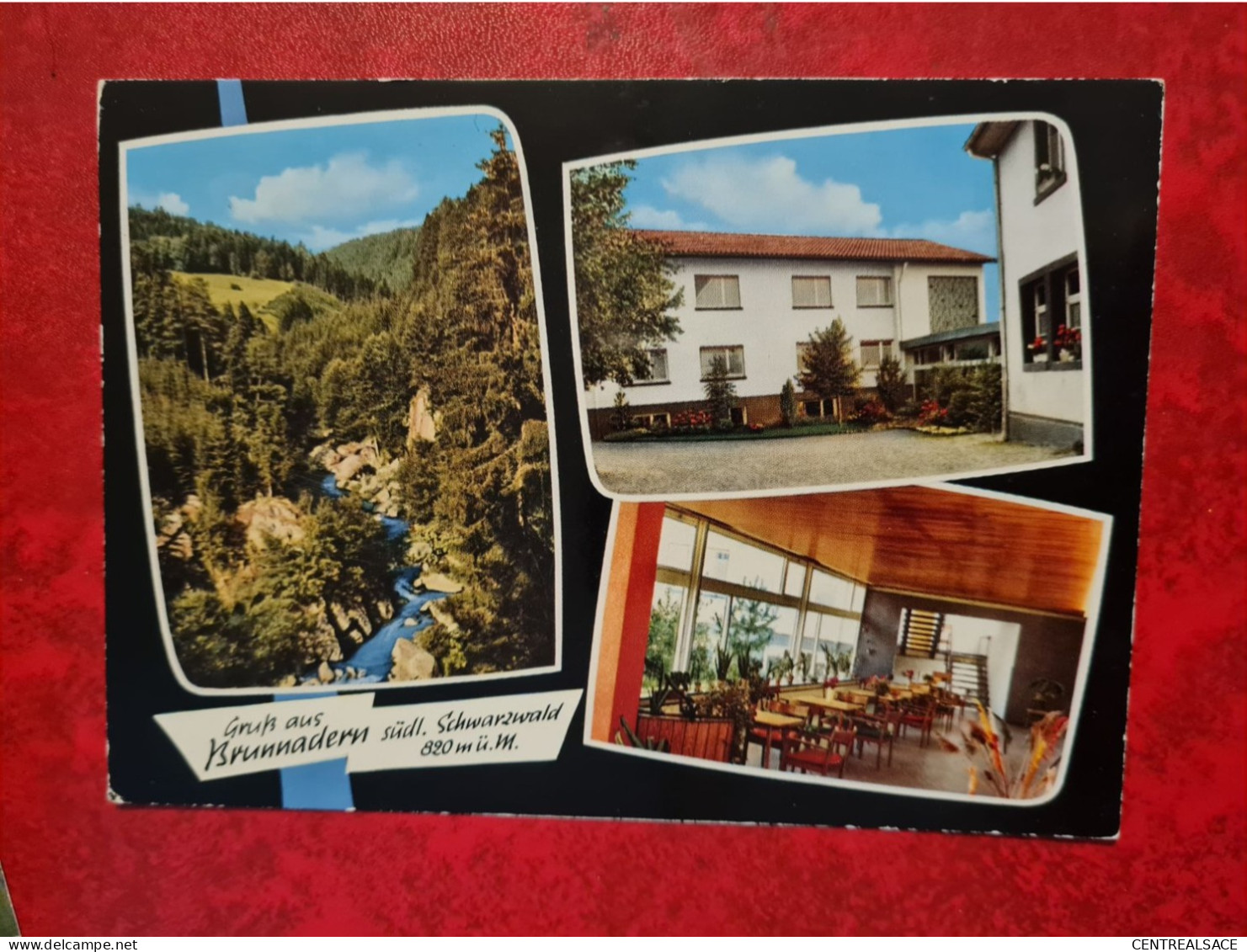 Carte SUISSE  Cafe Pension Haus Birkenhof Brunnadern Krs; Waldshut - Brunnadern