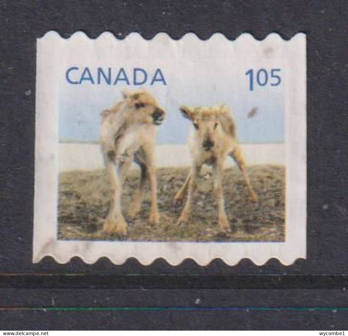 CANADA  -  2011 Caribou Calves $1.05 Self Adhesive  Used As Scan - Oblitérés