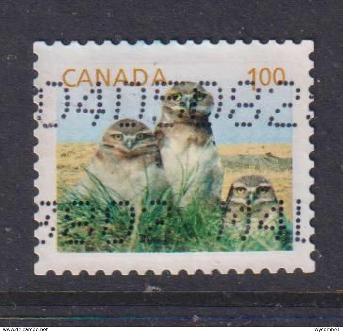CANADA  -  2011 Burrowing Owls $1 Self Adhesive  Used As Scan - Oblitérés