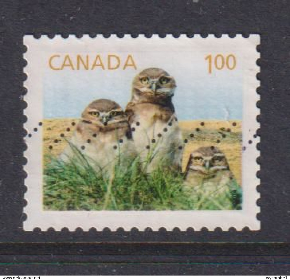 CANADA  -  2011 Burrowing Owls $1 Self Adhesive  Used As Scan - Oblitérés