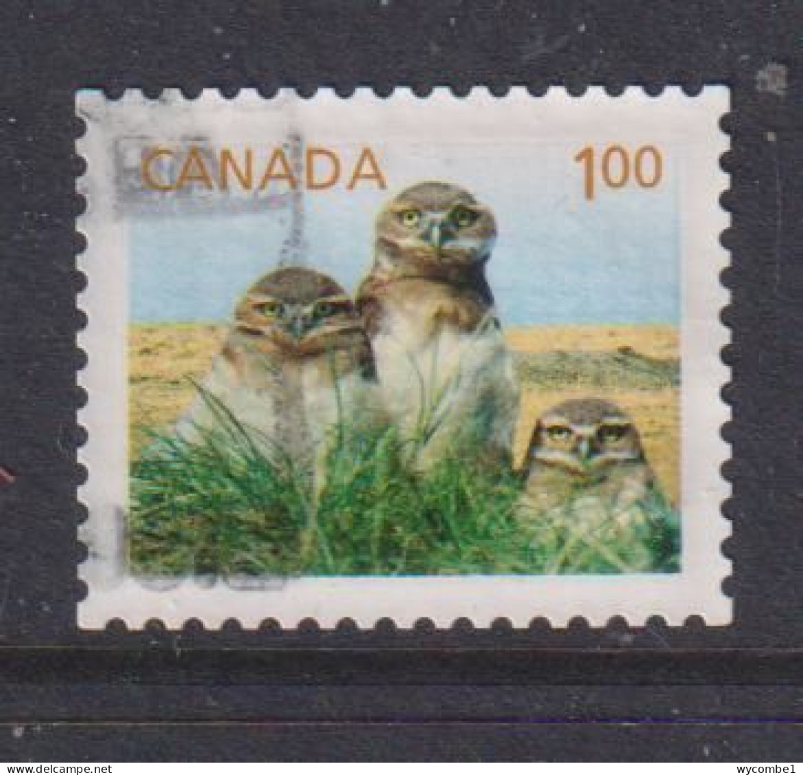 CANADA  -  2011 Burrowing Owls $1 Self Adhesive  Used As Scan - Oblitérés