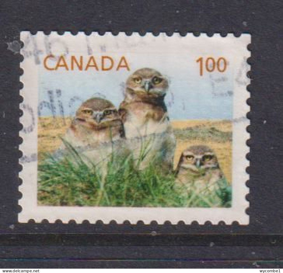 CANADA  -  2011 Burrowing Owls $1 Self Adhesive  Used As Scan - Oblitérés