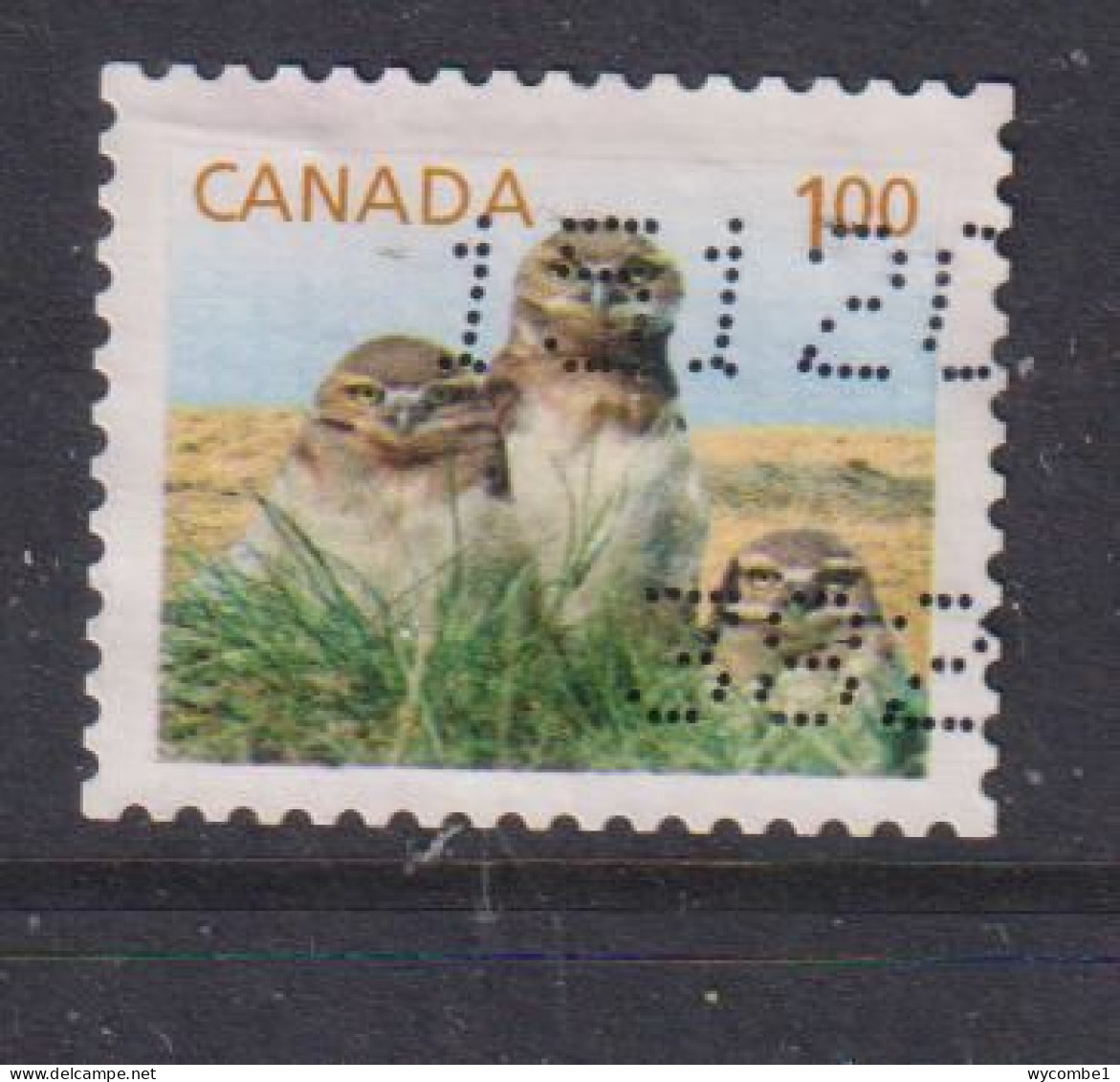 CANADA  -  2011 Burrowing Owls $1 Self Adhesive  Used As Scan - Oblitérés