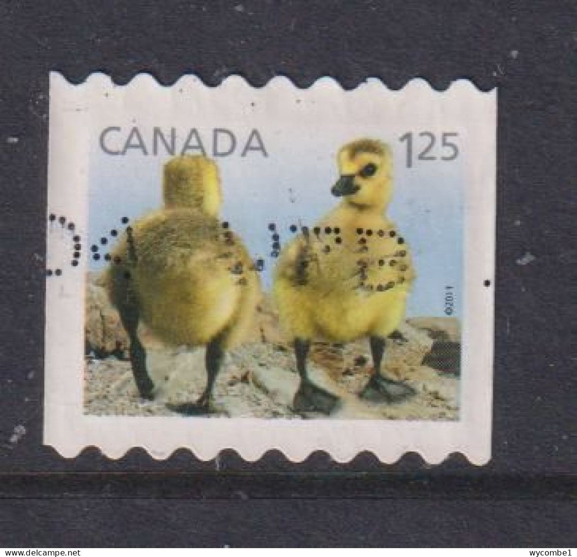 CANADA  -  2011 Goslings $1.25 Self Adhesive  Used As Scan - Oblitérés