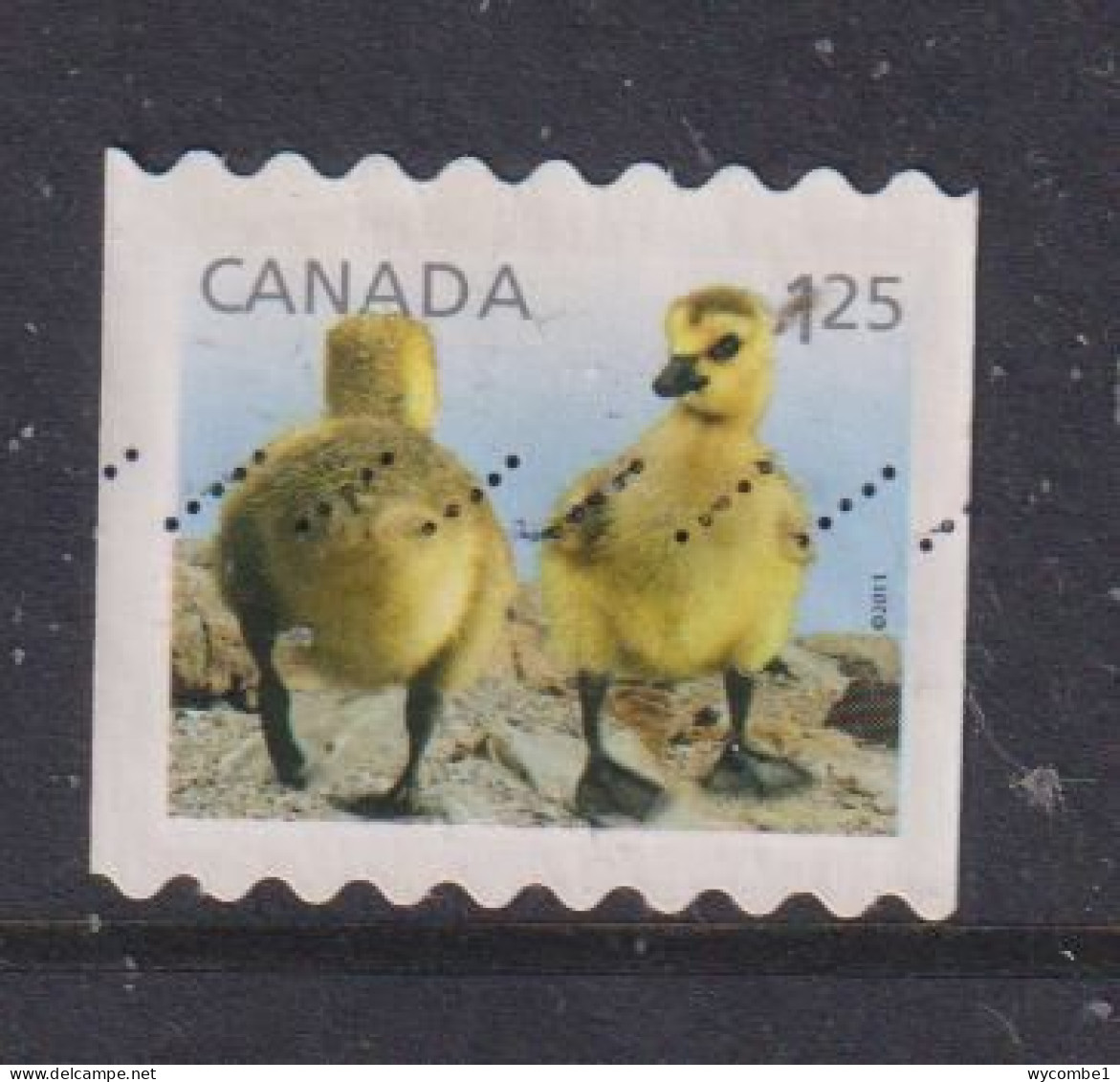 CANADA  -  2011 Goslings $1.25 Self Adhesive  Used As Scan - Oblitérés