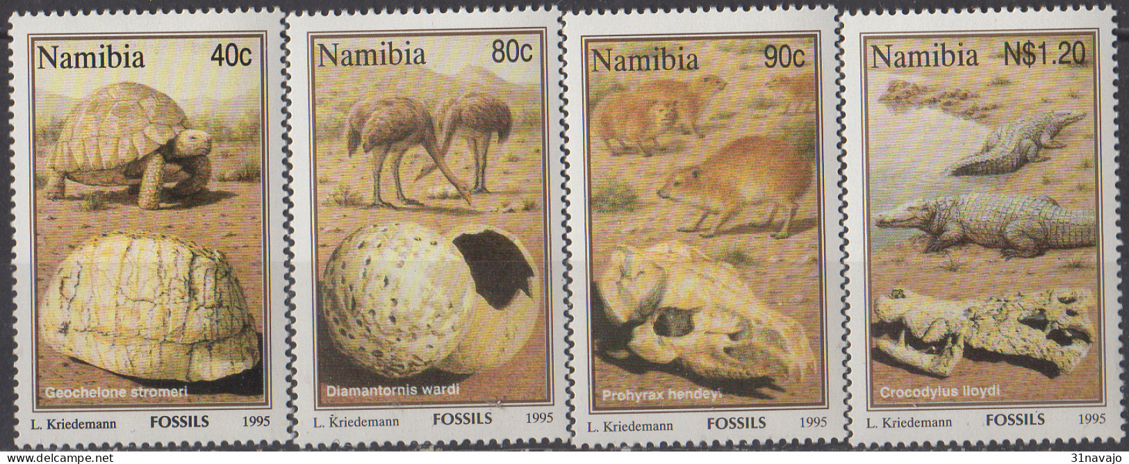 NAMIBIE - Fossiles - Fossielen