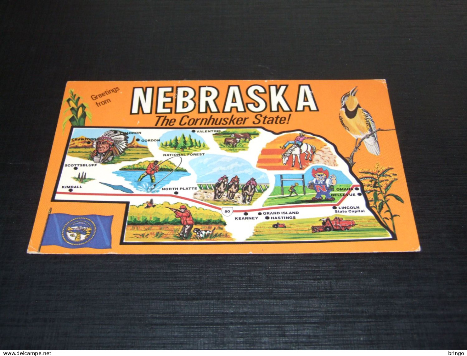 63169-             AMERICA  USA, NEBRASKA, THE CORNHUSKER STATE! - Autres & Non Classés