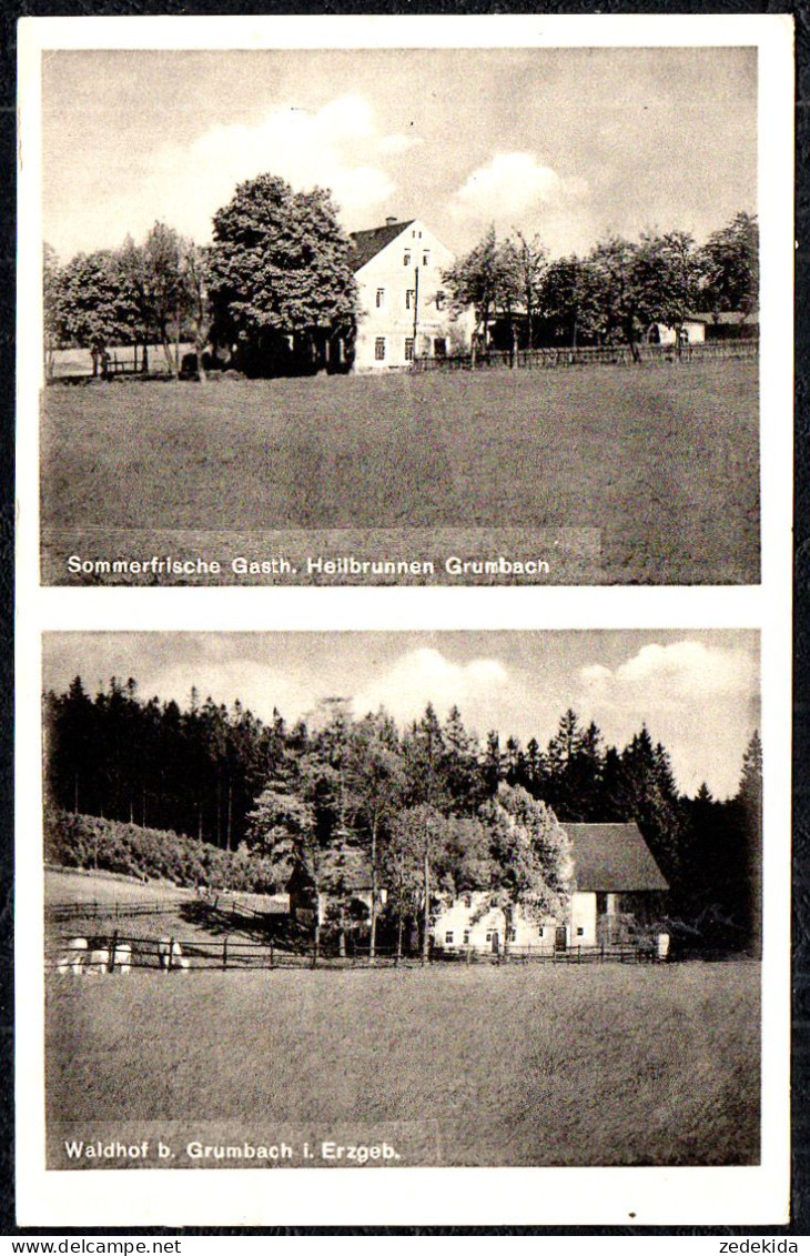 E1043 - Grumbach Jöhstadt - Gaststätte Gasthaus Heilbrunneb Waldhof - Verlag Hugo Nestler - Jöhstadt