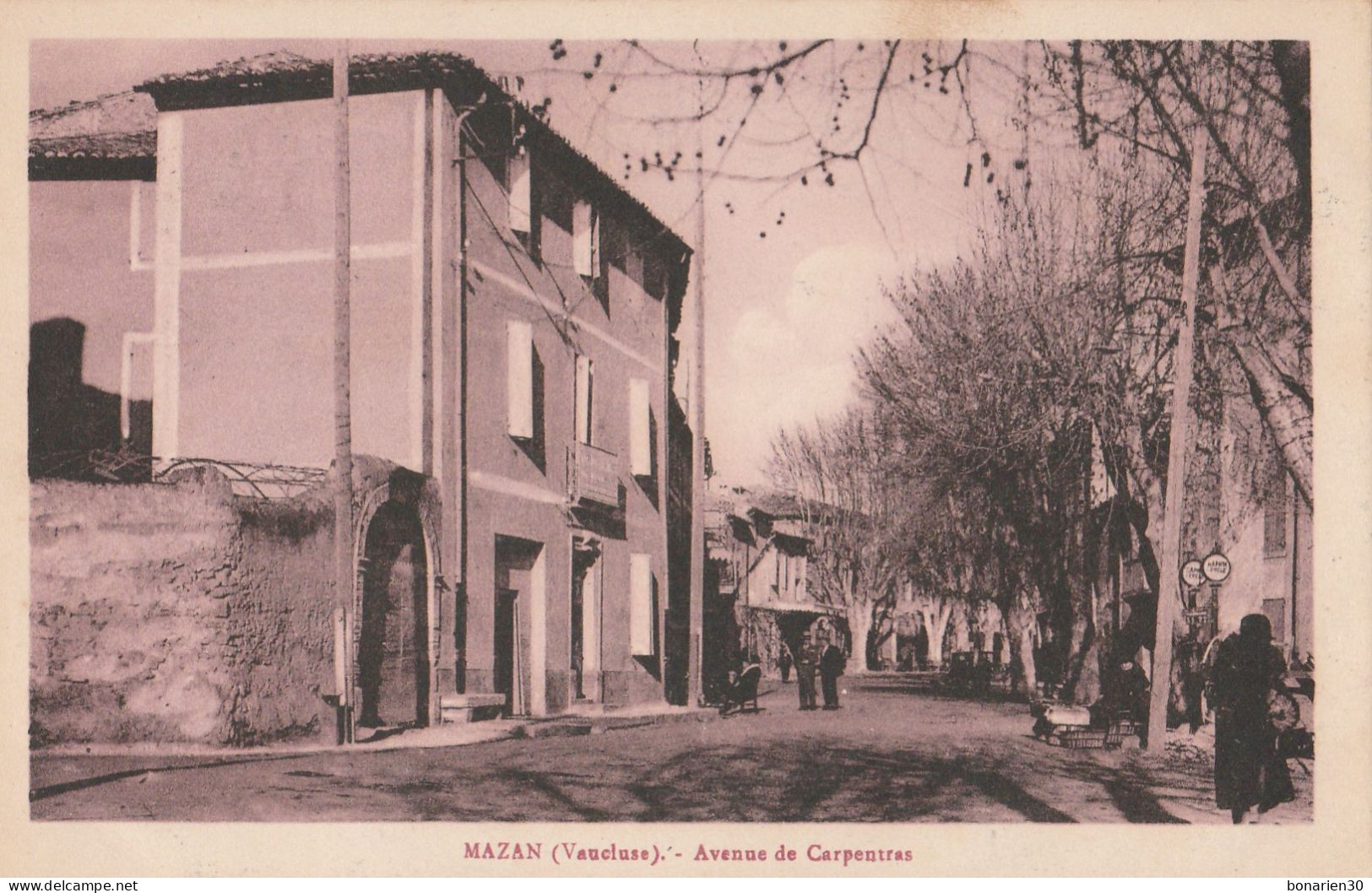 CPA 84  MAZAN AVENUE DE  CARPENTRAS - Mazan