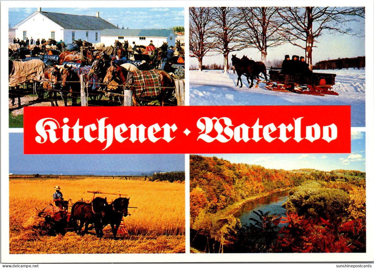 Canada Ontario Kitchener Waterloo Multi View Showing Mennonite Life - Kitchener