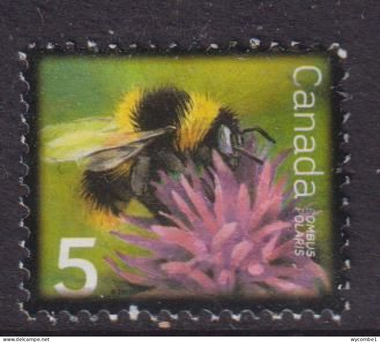 CANADA  -  2007 Beneficial Insects 5c Used As Scan - Gebraucht