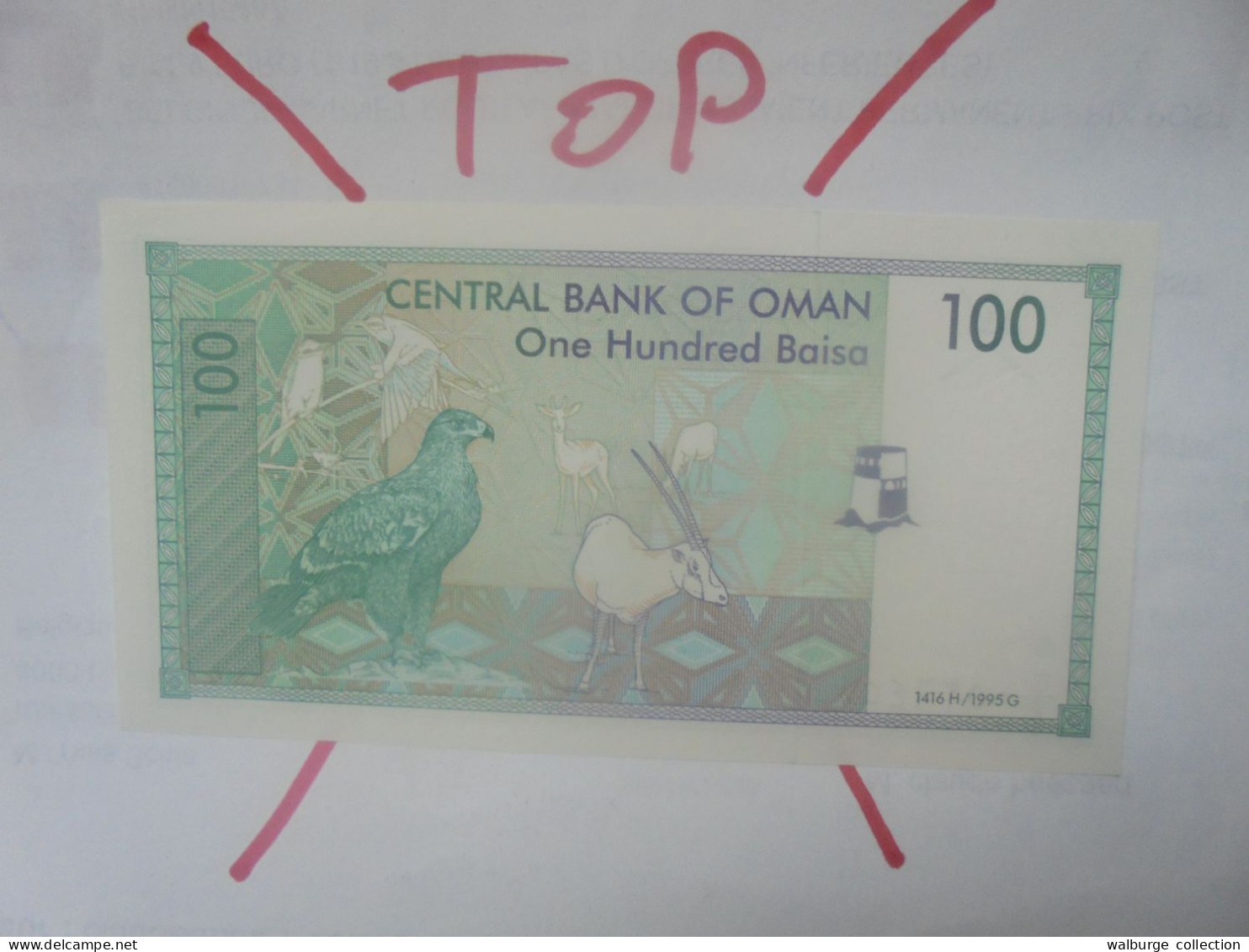 OMAN 100 BAISA 1995 Neuf (B.30) - Oman