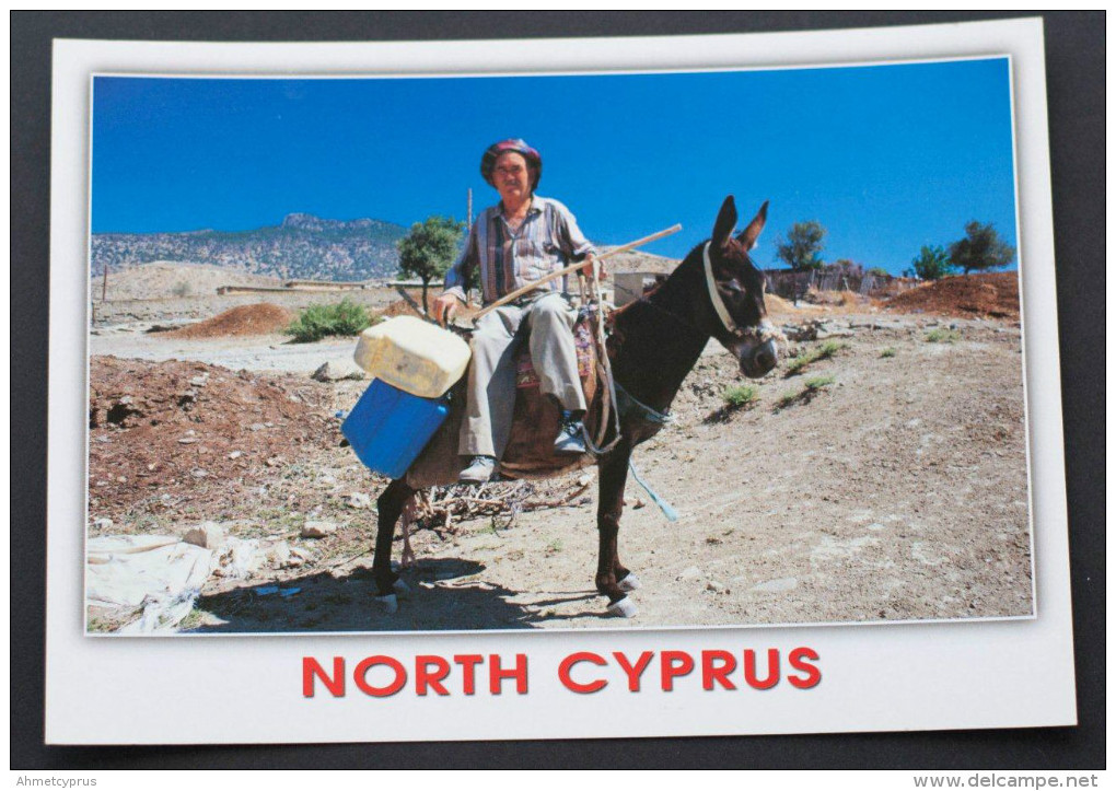 CYPRUS ZYPERN CHYPRE CIPRO "CYPRUS DONKEY AND PEASANT" POSTCARD  New - Unused - Chypre