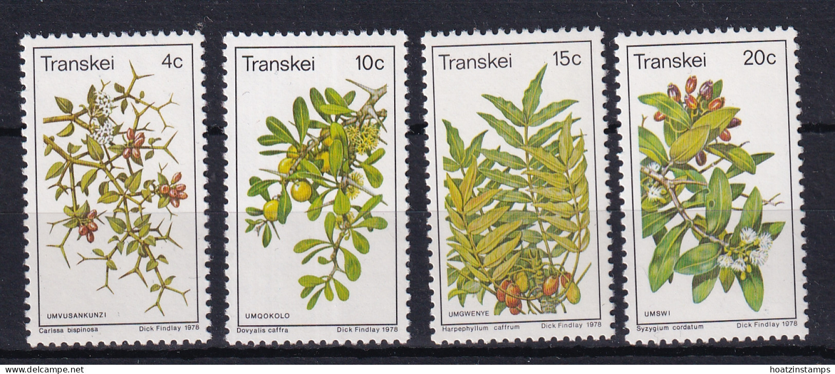 South Africa - Transkei: 1978   Edible Wild Fruits   MNH - Nuevos