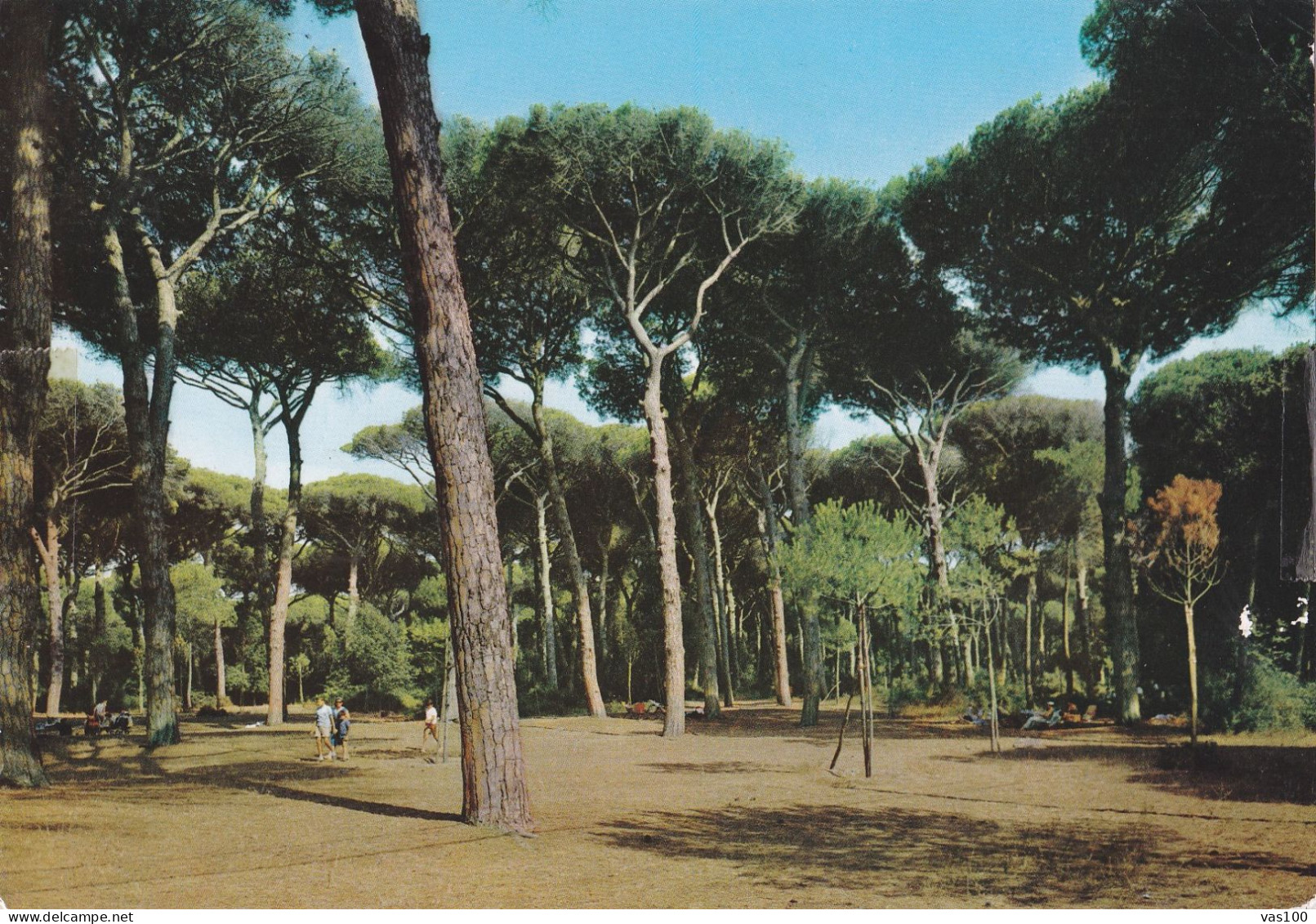 FREGENE, LA PINETA, ITALY - Parks & Gardens