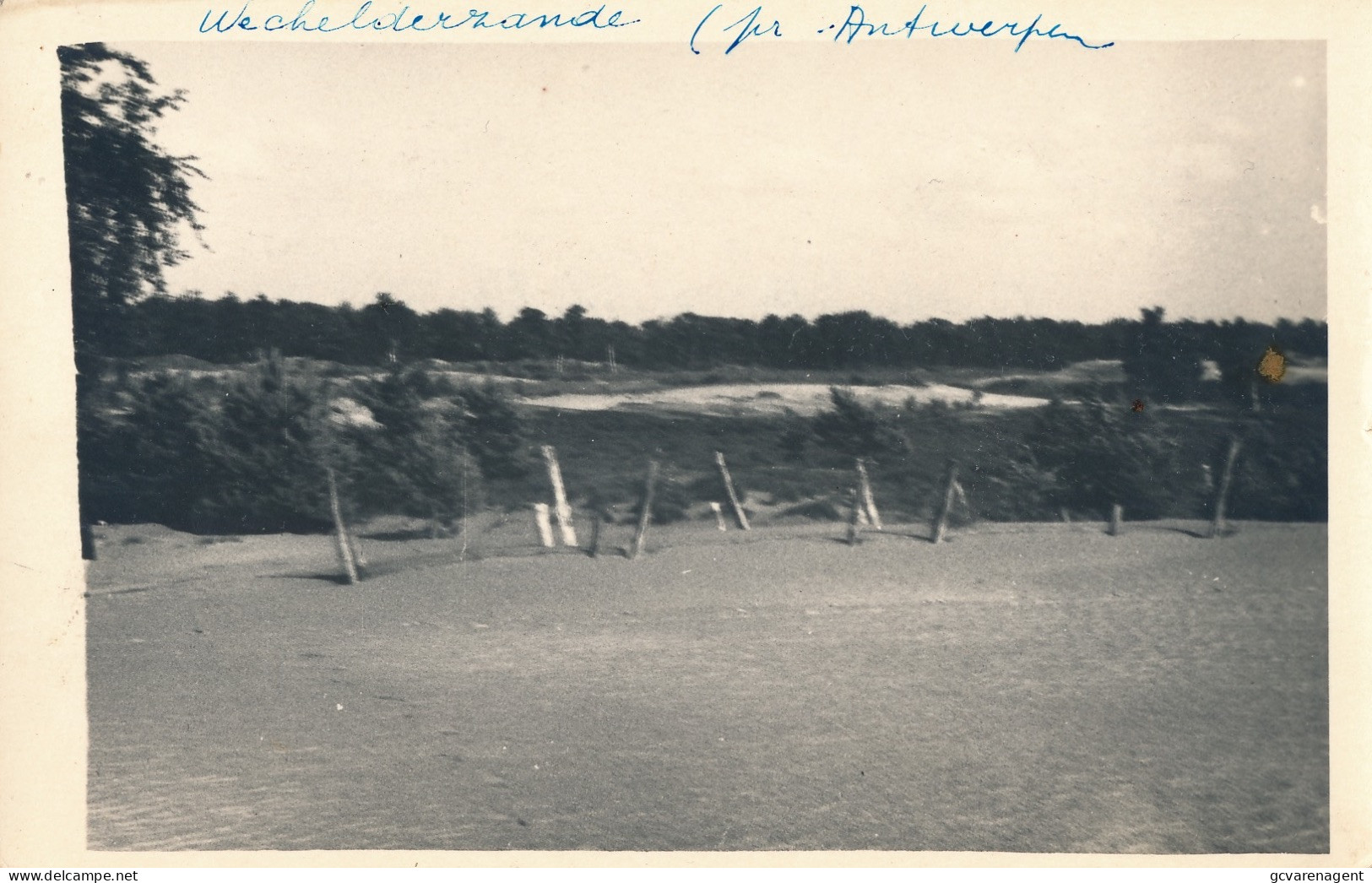 WECHELDERZANDE   FOTOKAART   1946      2 SCANS - Lille