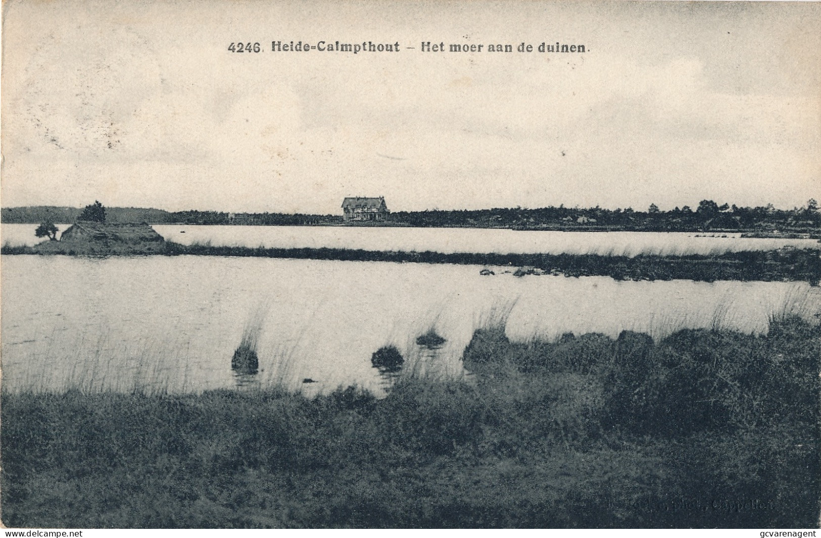 HEIDE KALMTHOUT   HET MOER AAN DE DUINEN      2 SCANS - Kalmthout