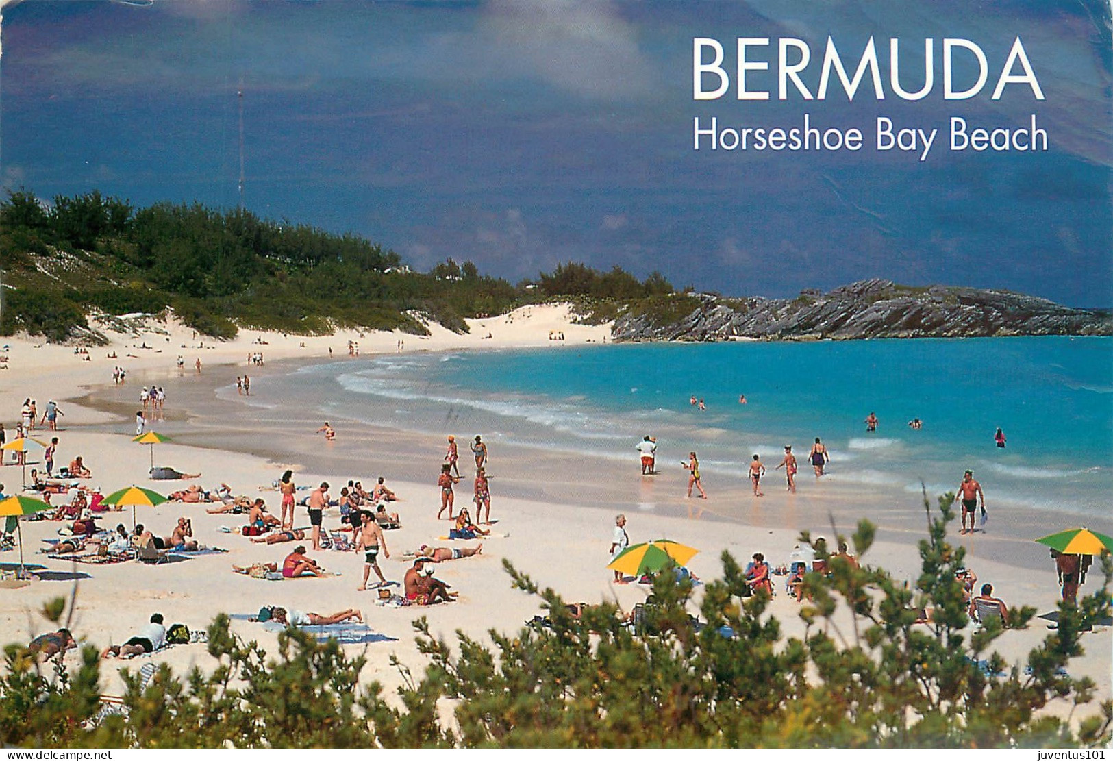 CPSM Bermuda-Horseshoe Bay Beach-Beau Timbre   L2335 - Bermudes