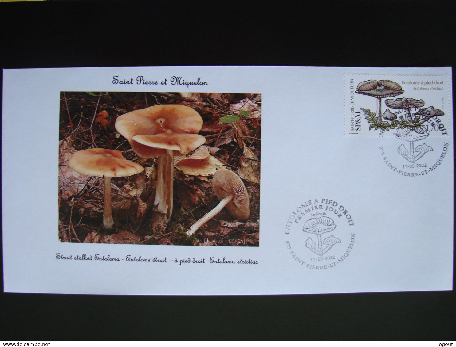 SPM/SAINT PIERRE ET MIQUELON FDC 2022 CHAMPIGNON ENTOLOME A PIED DROIT ENTOLOMA STRICTUS - FDC