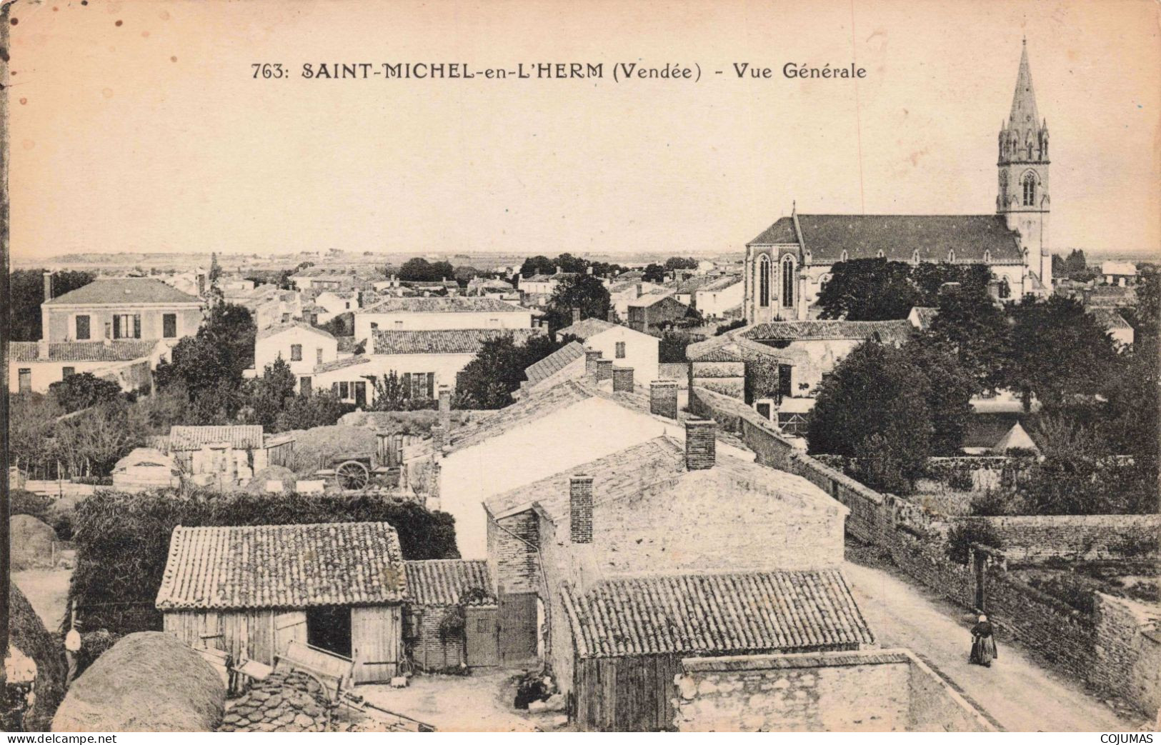 85 - SAINT MICHEL EN L HERM - S21000 - Vue Générale - Saint Michel En L'Herm