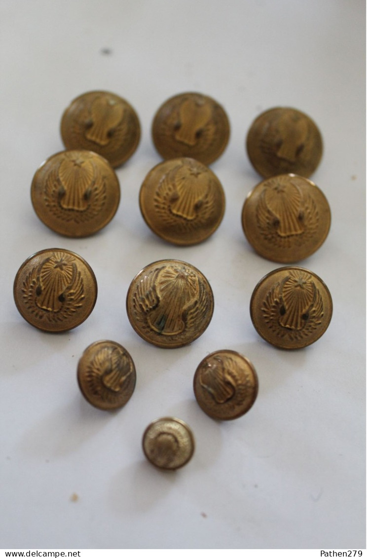 Lot De Boutons Armée De L'air Pour Veste Et Manteau De Tenue De Sortie - Boutons